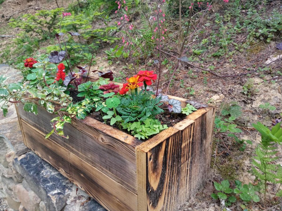 Osada Sroczy Jar Villa Rozpucie Bagian luar foto